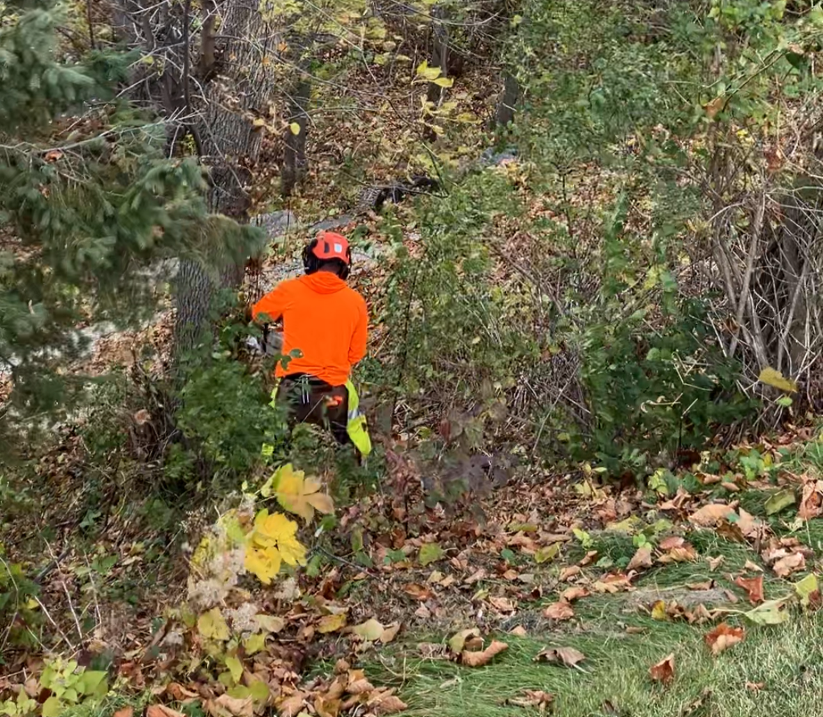 Husky Tree Service & Snow Plowing | Professional Outdoor Services